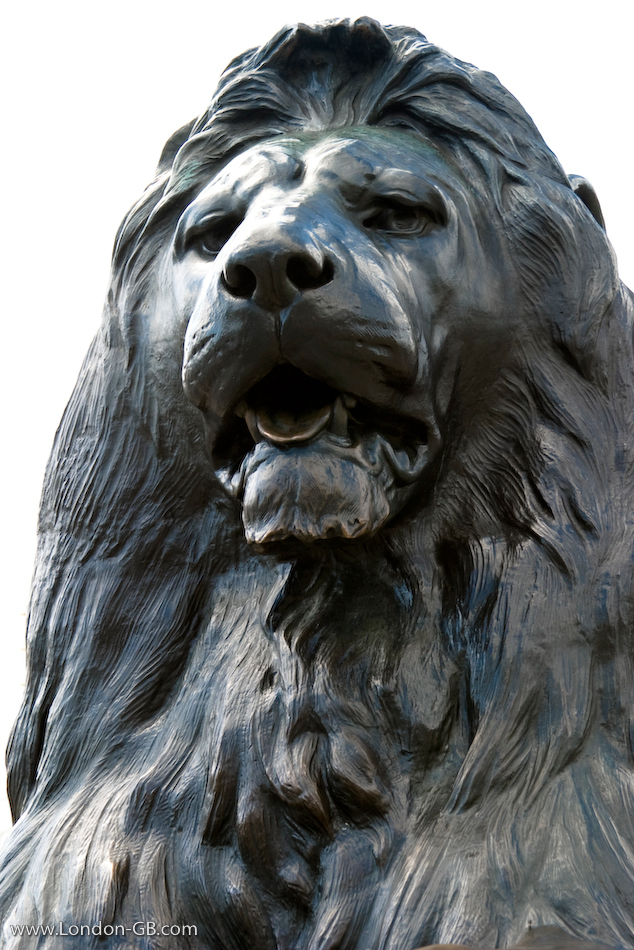 Trafalgar Square lion, London