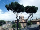 Rome pictures