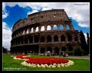 rome pictures 2012 - colosseum in june
