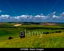 south downs national park