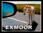 Exmoor pictures