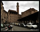 Siena pictures