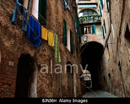 Siena Italy pics