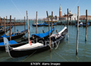 venice italy pictures